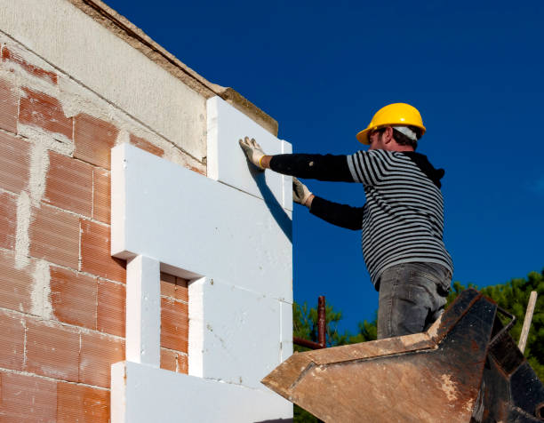 Best Cellulose Insulation in Sells, AZ